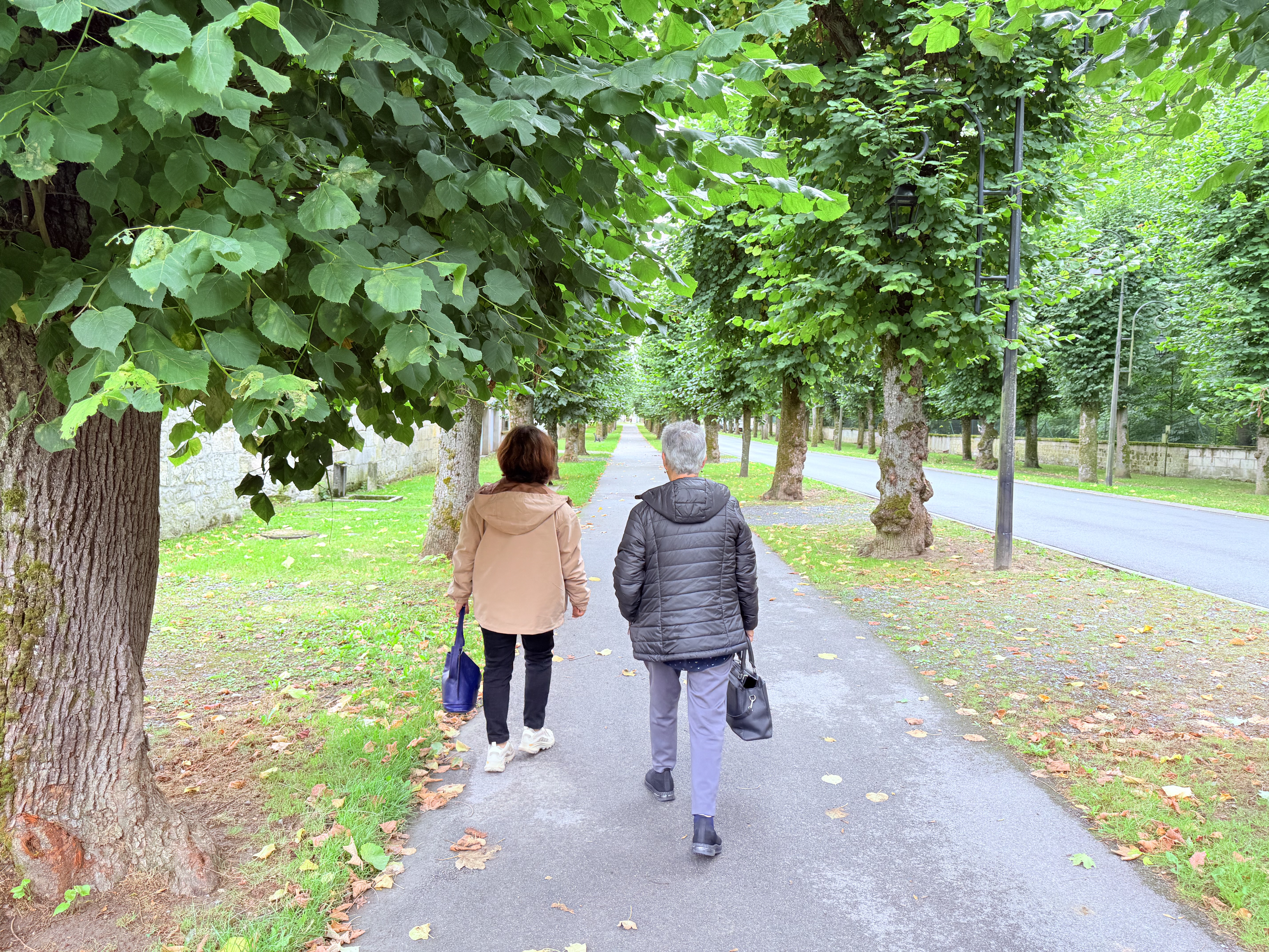 Accompagnement à une activité de loisir
